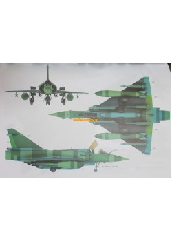 Dassault Mirage 2000 5F
