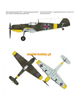 Messerschmitt Bf 109 E-3 '13 LETKA'