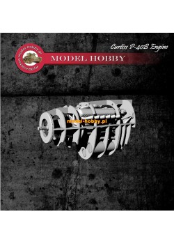  Allison V-1710-33 - sinik żywica